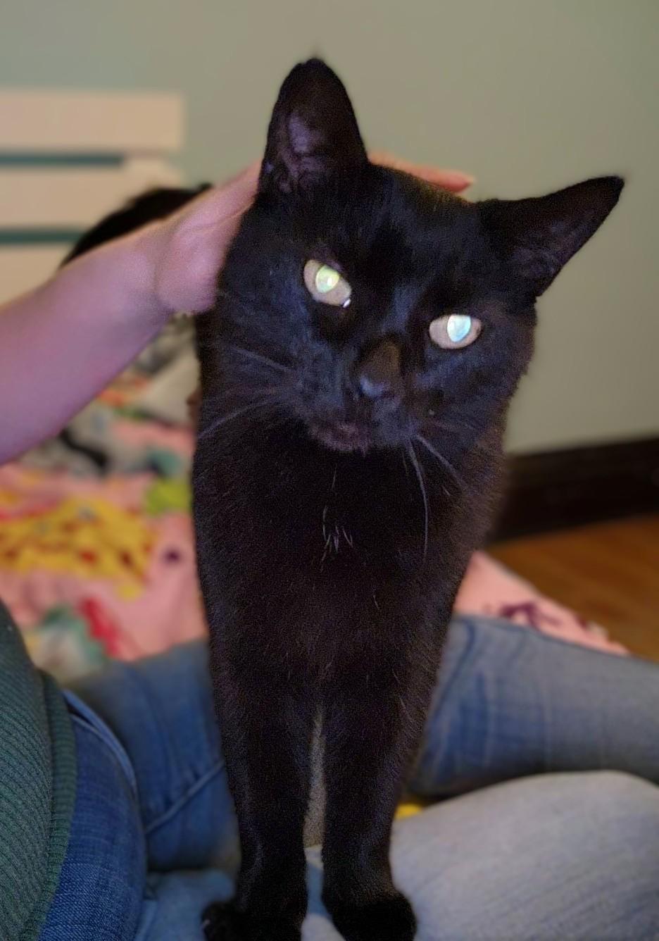 Binx
