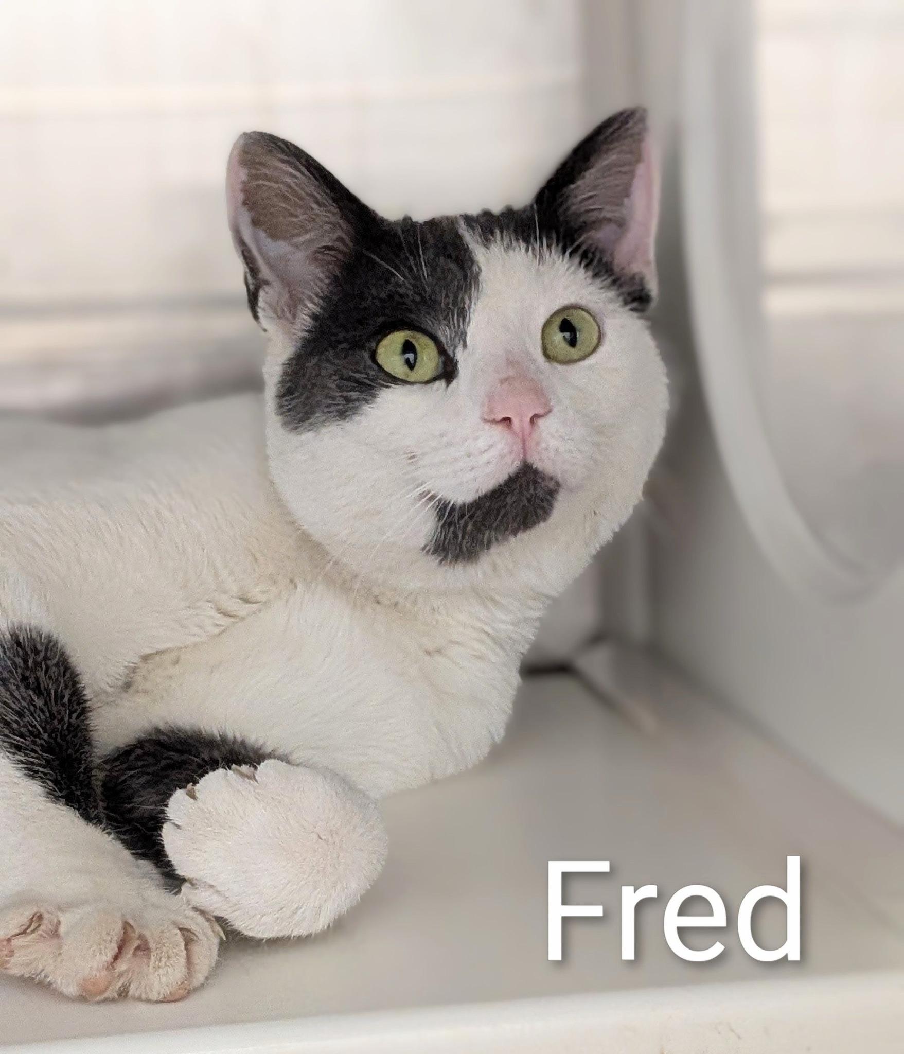 Fred