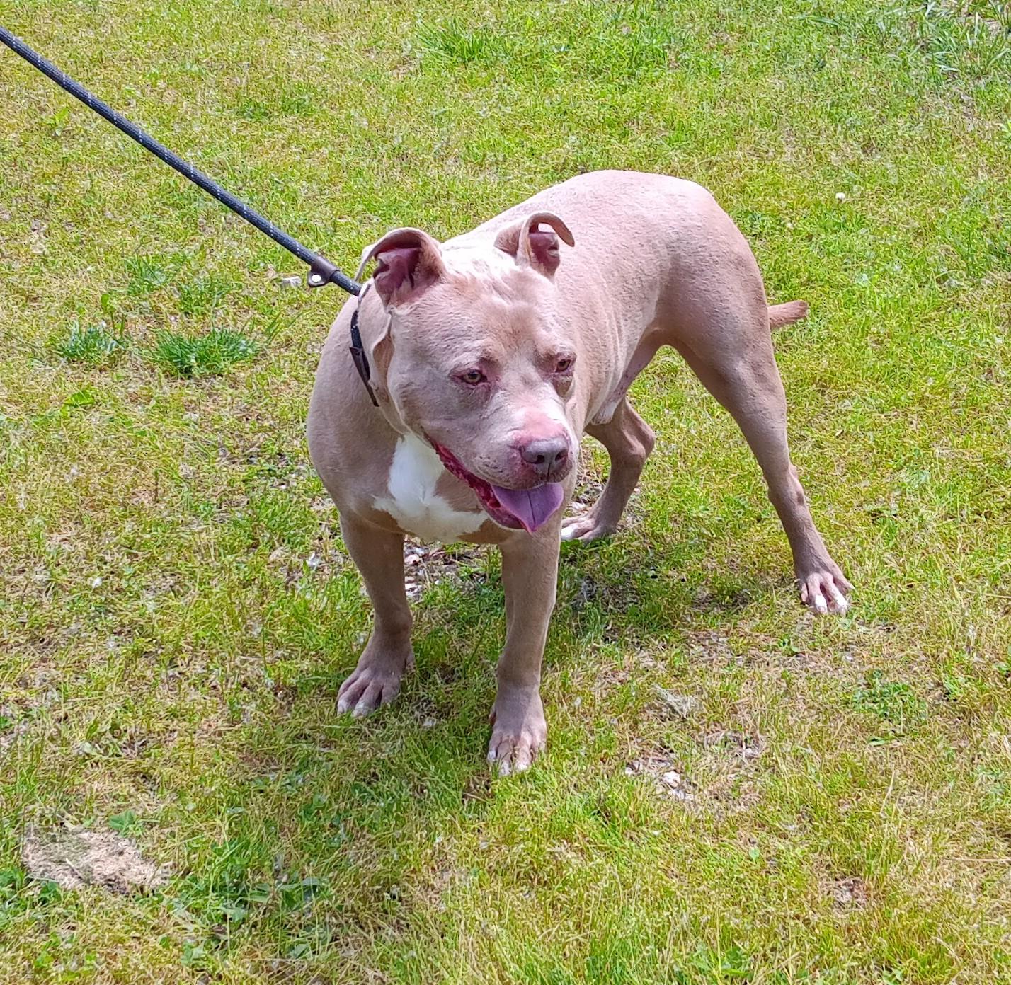 Buster photo 2