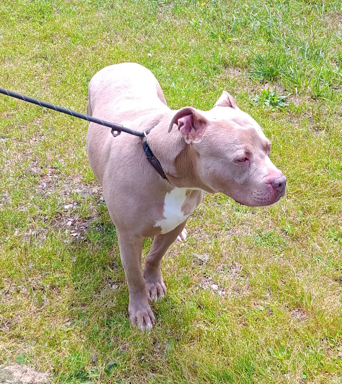 Buster photo 3