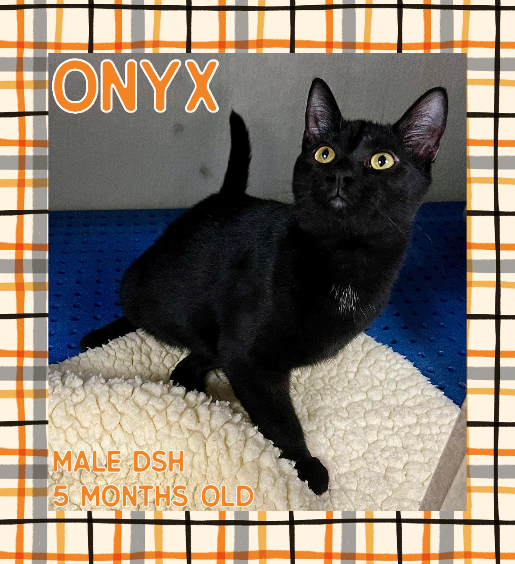 Onyx