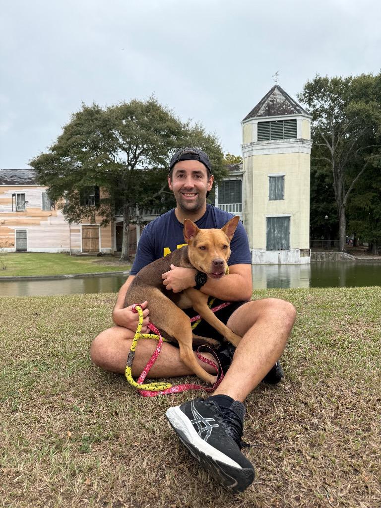 Mina (In Foster), a Adoptable Shepherd in New Orleans, LA image 4/6