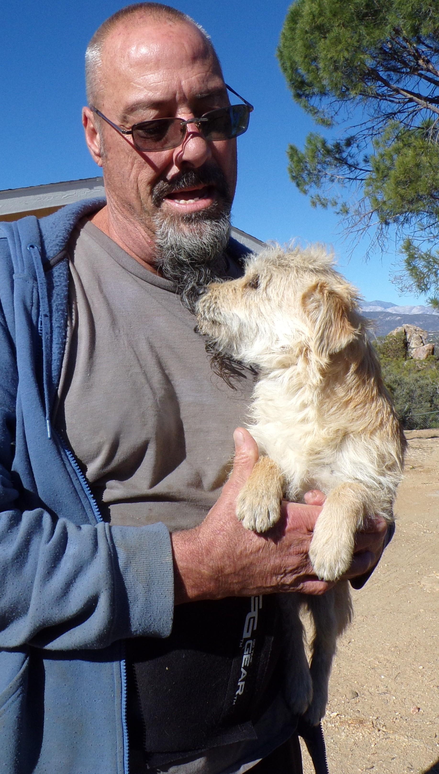 Enlarge BENJIE, a ADOPTABLE mixed breed in Corona, CA image 3/3