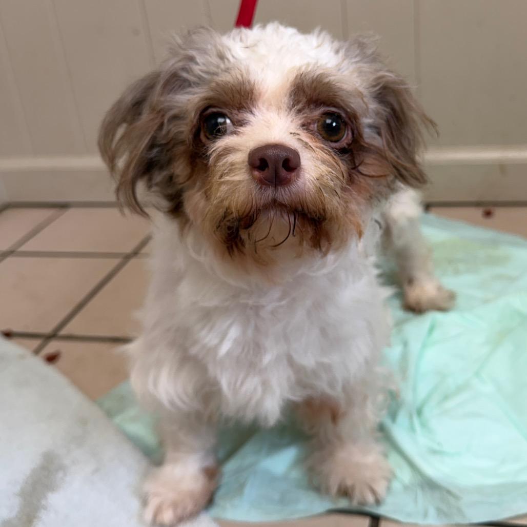 Chloe — thumbnail 3