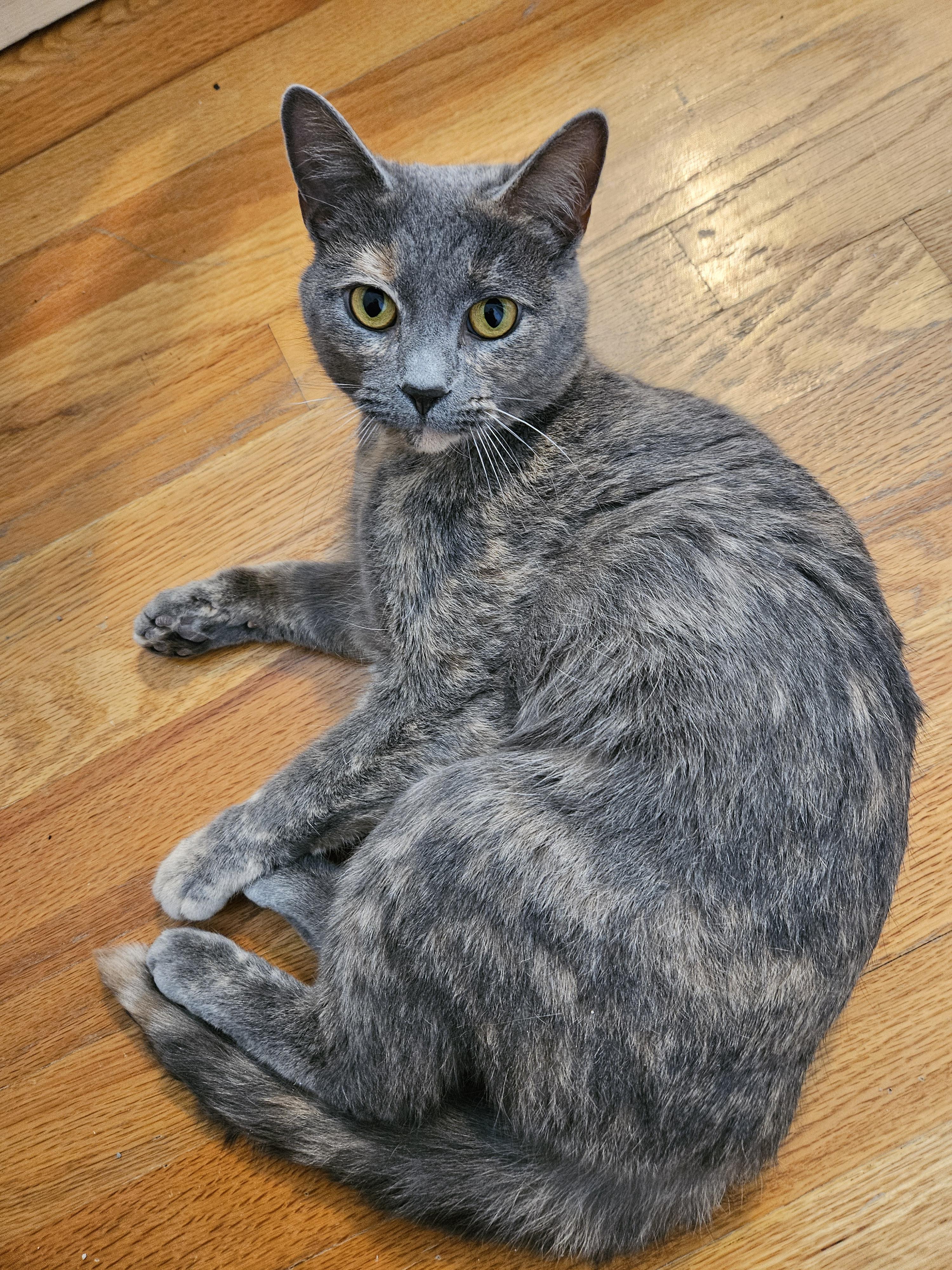 Marbles Os thumbnail 5