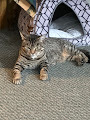 Cora Lee photo 6