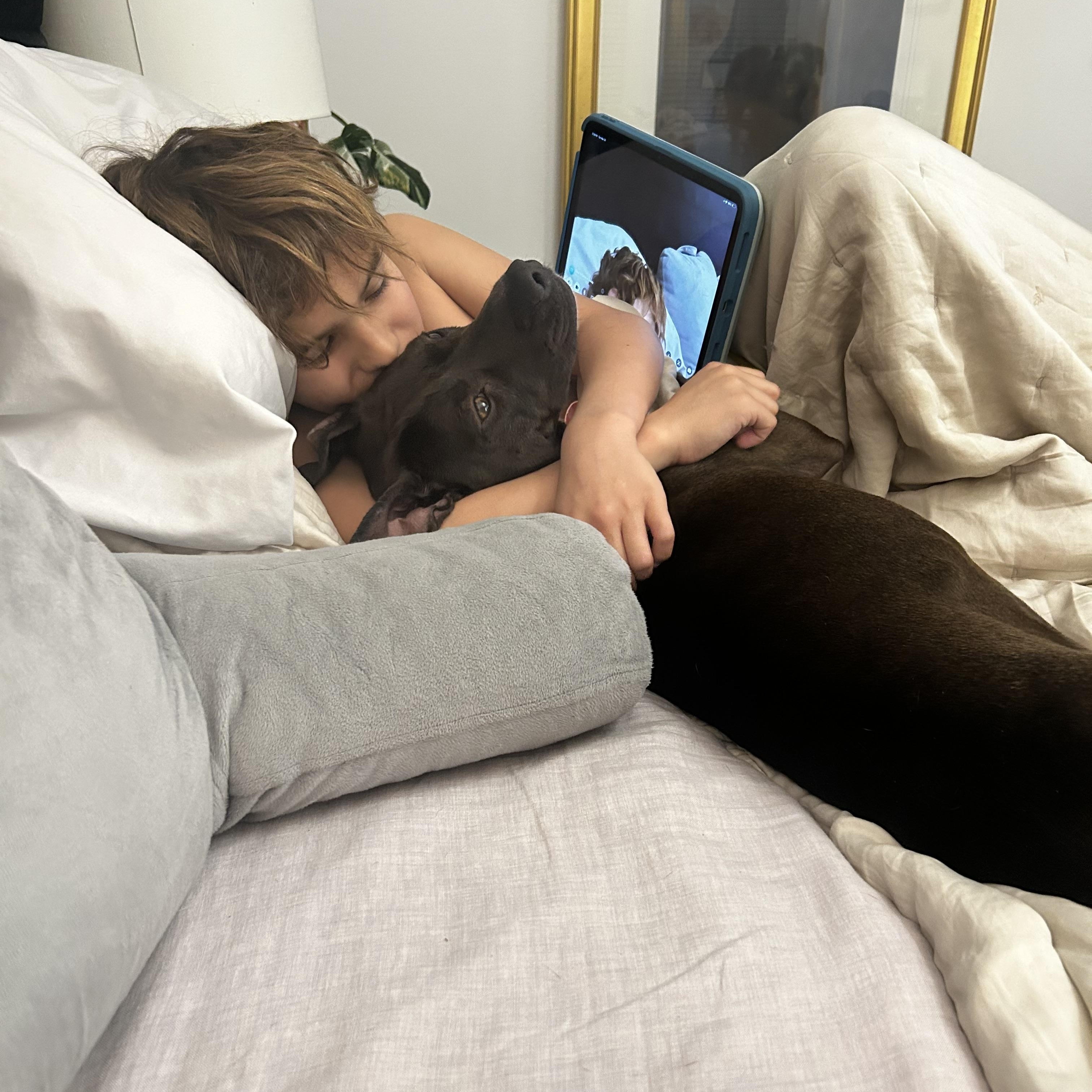 Cinder, a Adoptable mixed breed in tampa, FL image 4/6