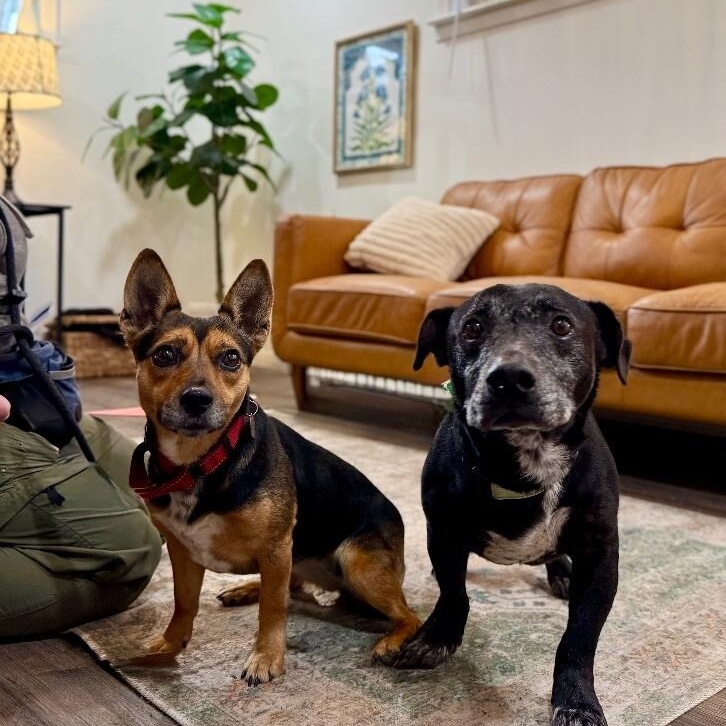 Meghan Markle the Little Royal Duchess — thumbnail 2