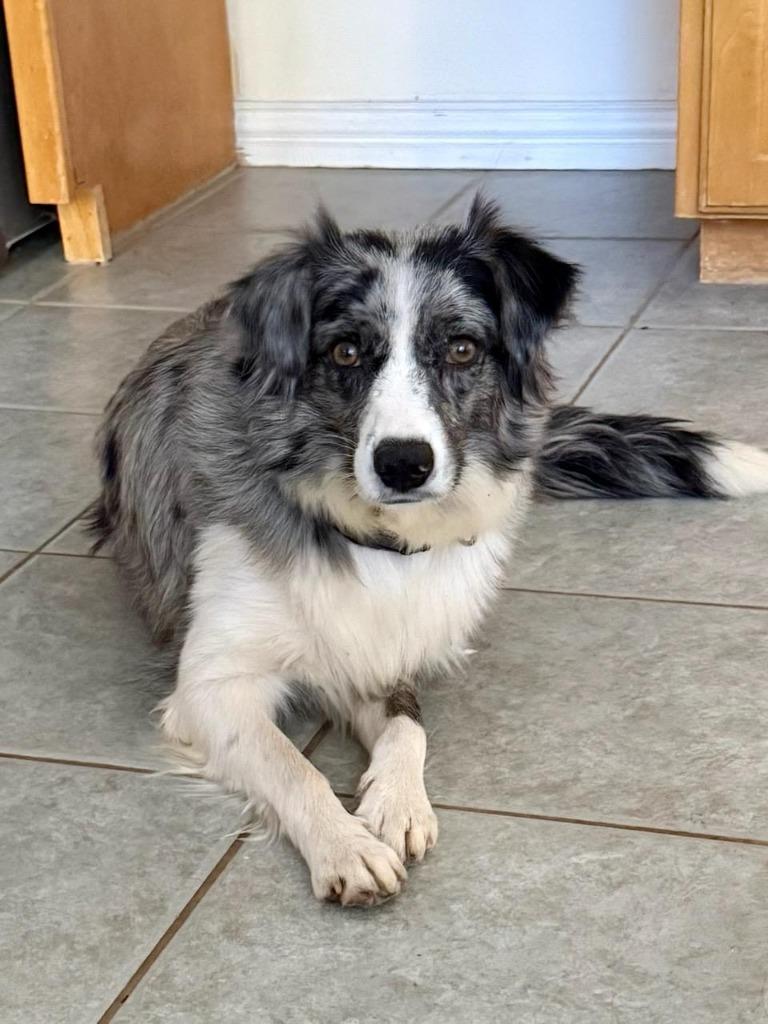 Tulsa — thumbnail 3