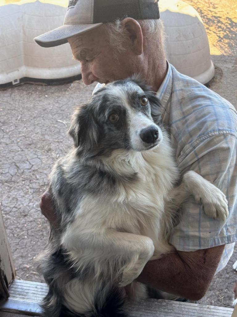 Tulsa — thumbnail 4