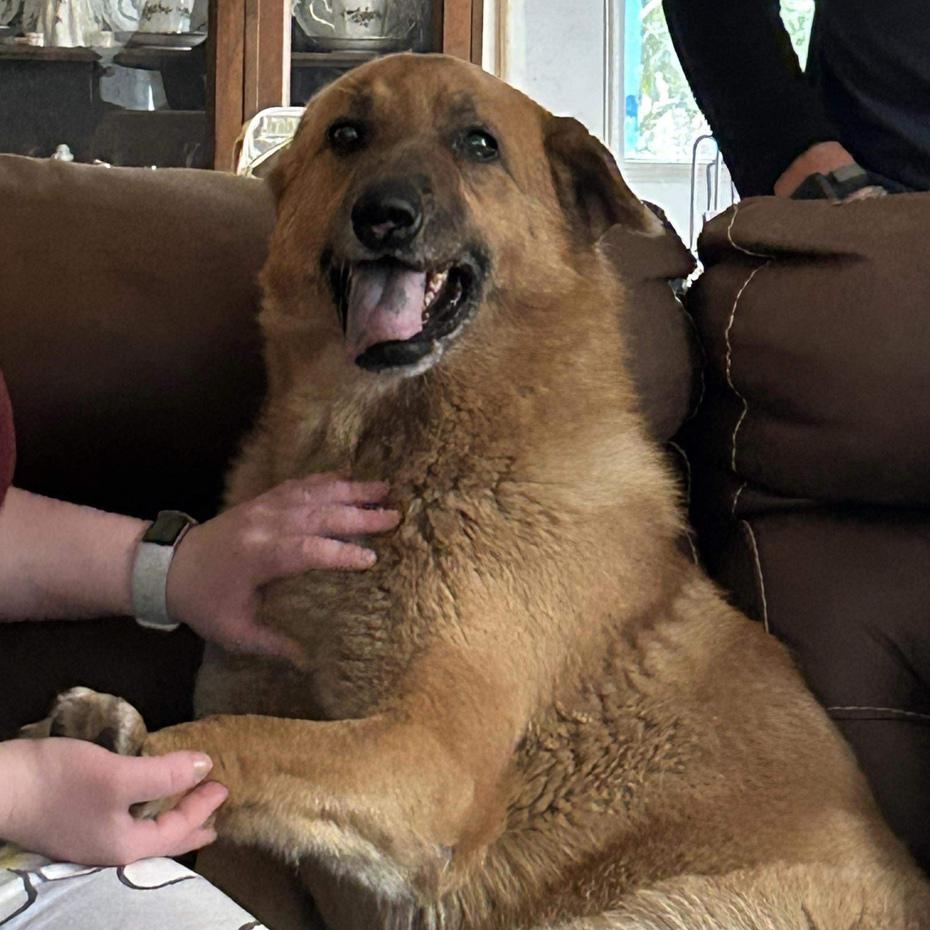 Rudo — thumbnail 2