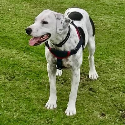 Beto and Pantera — thumbnail 2