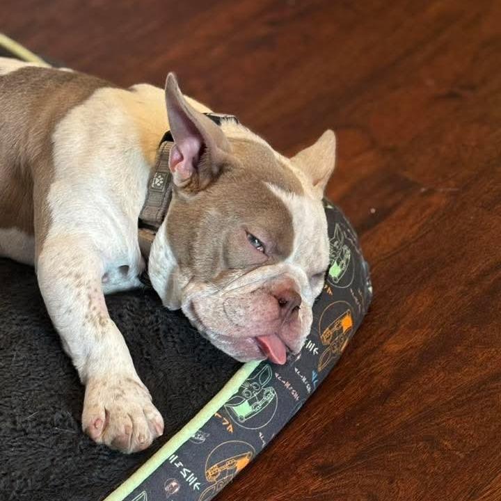 Rose Marie thumbnail 2