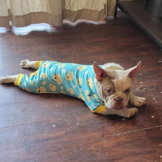 Rose Marie thumbnail 3