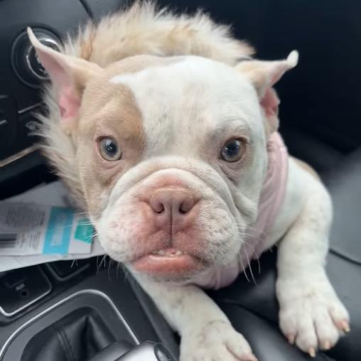 Rose Marie thumbnail 5