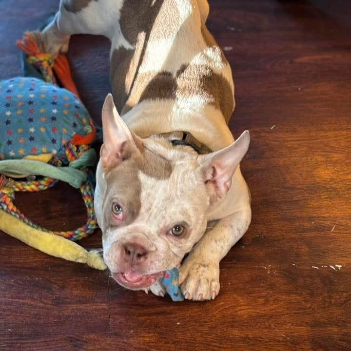 Rose Marie thumbnail 6