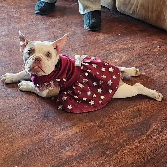 Rose Marie thumbnail 7