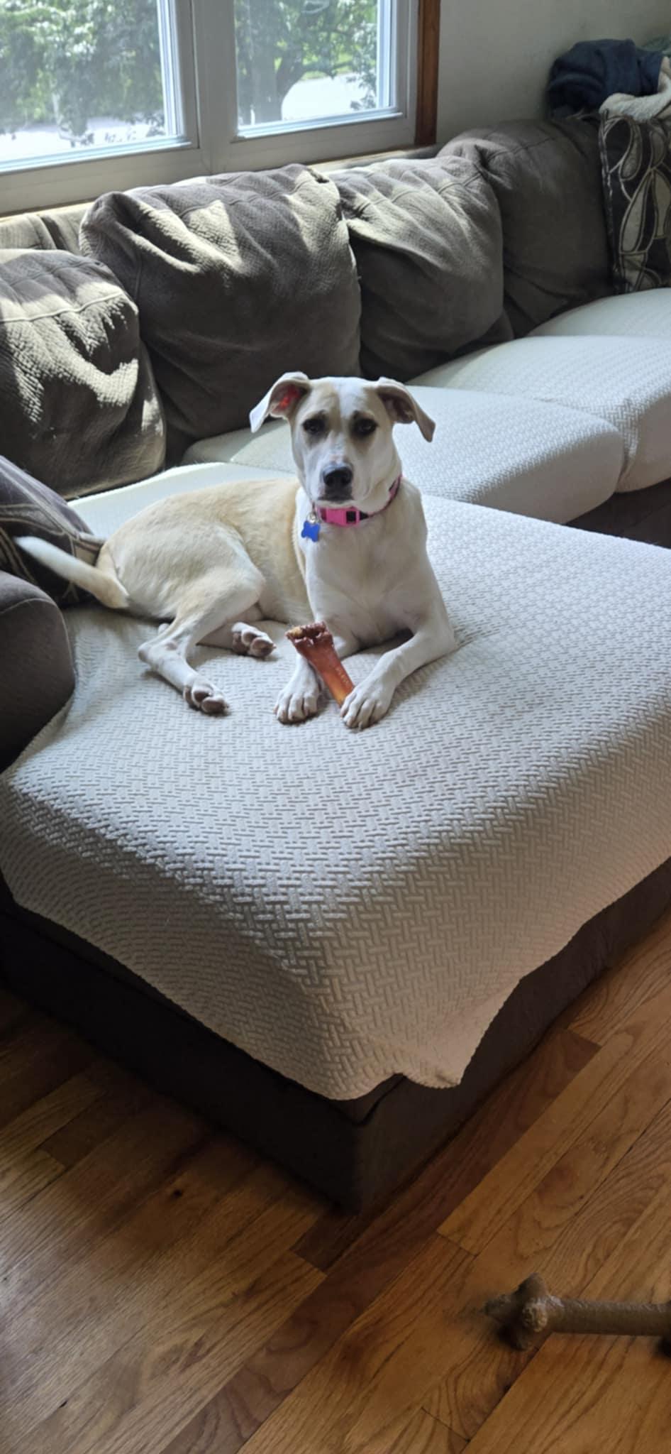 Dottie girl