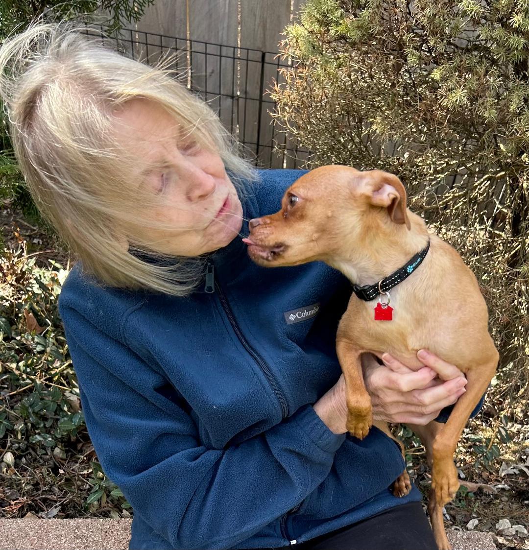 Enlarge Lucy, a Adoptable mixed breed in Lake Geneva, WI image 2/6