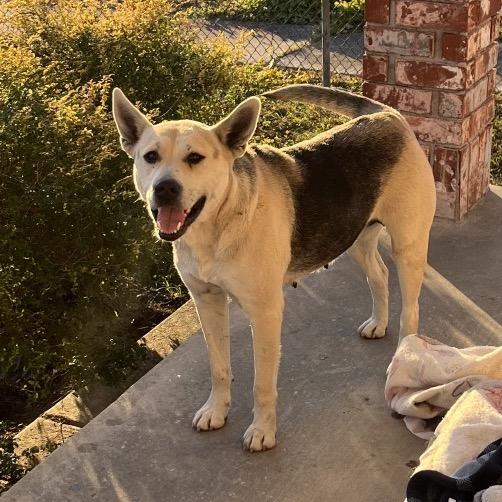 Stevie Nyx — thumbnail 2