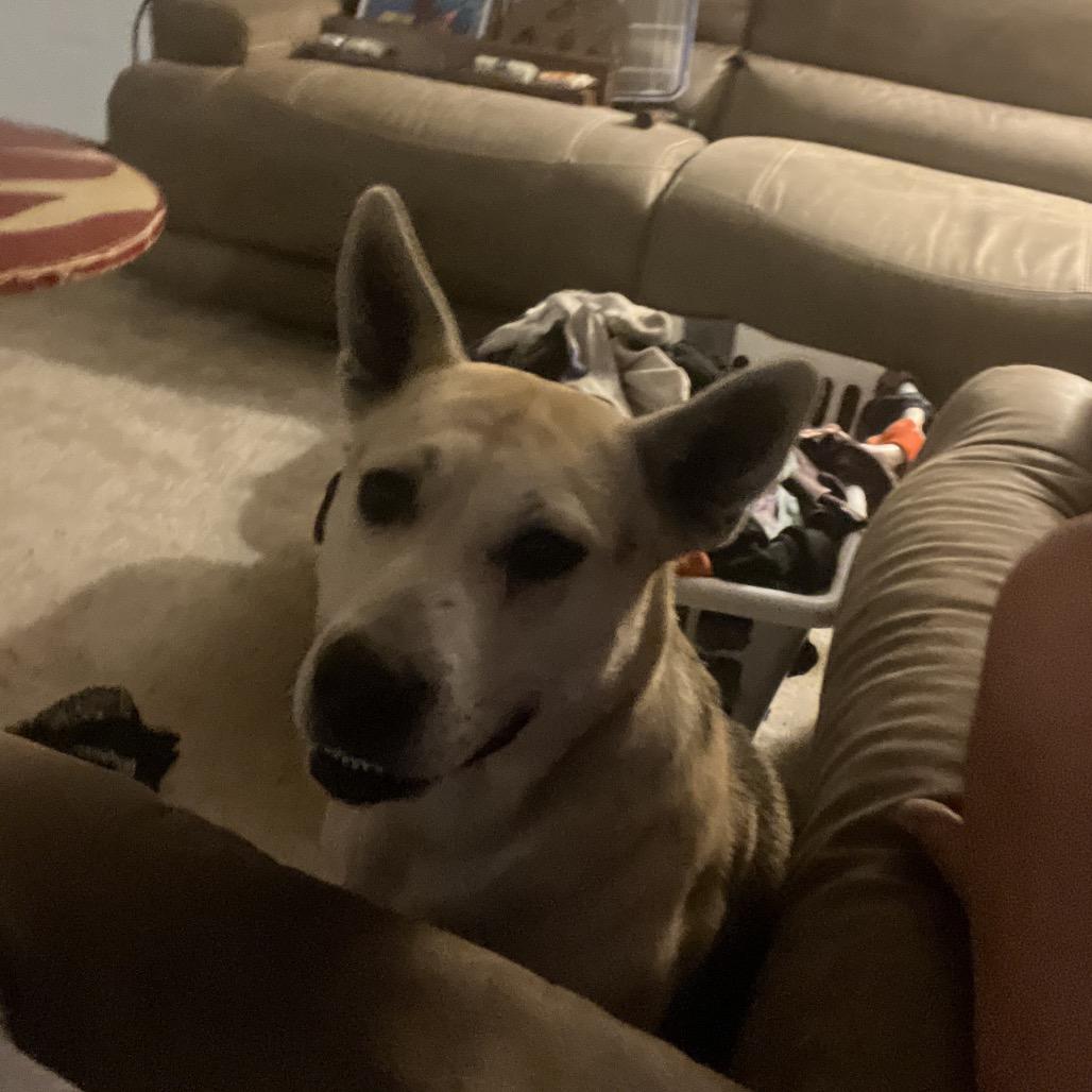 Stevie Nyx — thumbnail 3