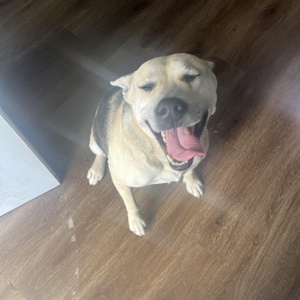 Stevie Nyx — thumbnail 4