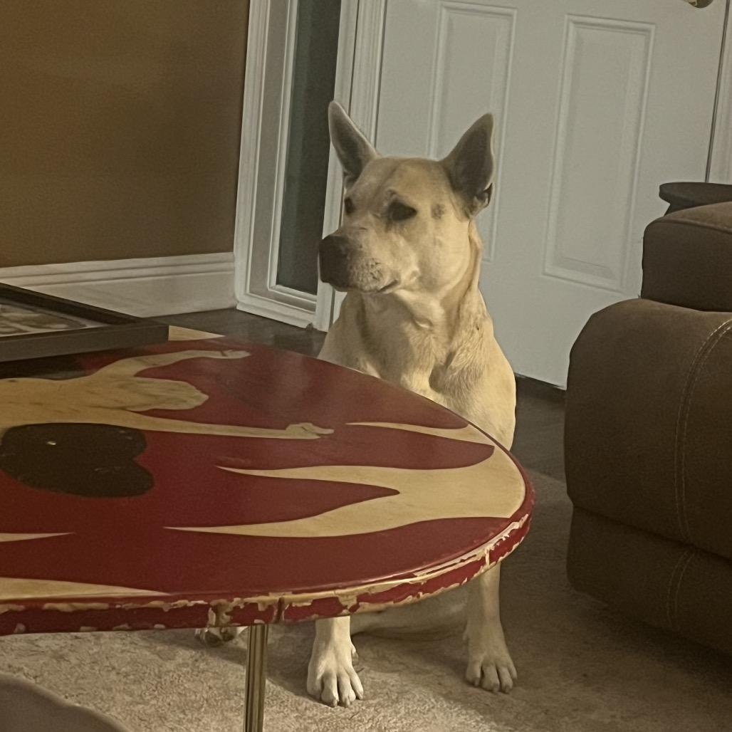 Stevie Nyx — thumbnail 5