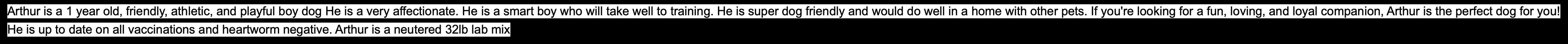 Arthur, a Adoptable mixed breed in Smyrna, GA image 3/3