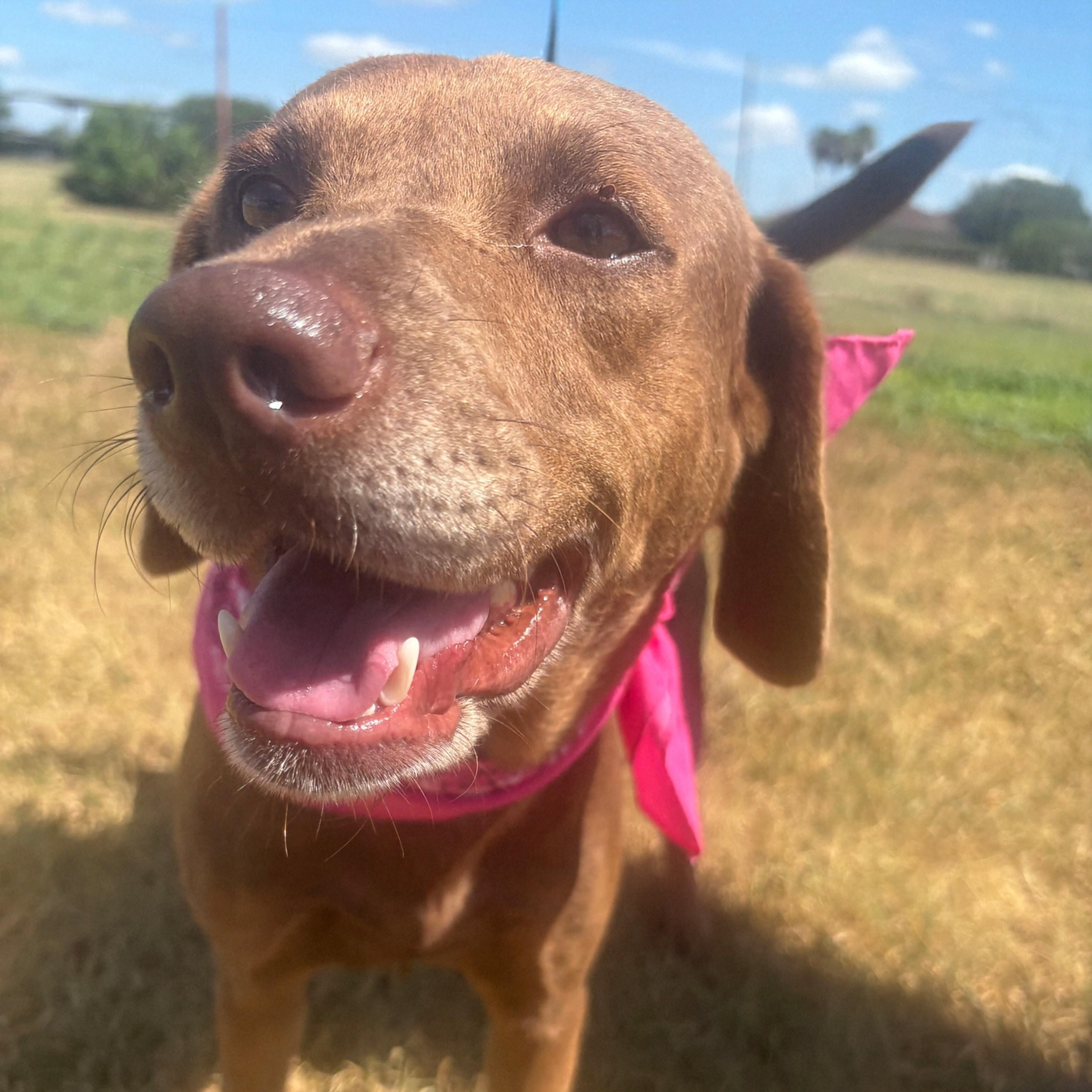 Ellie photo 2