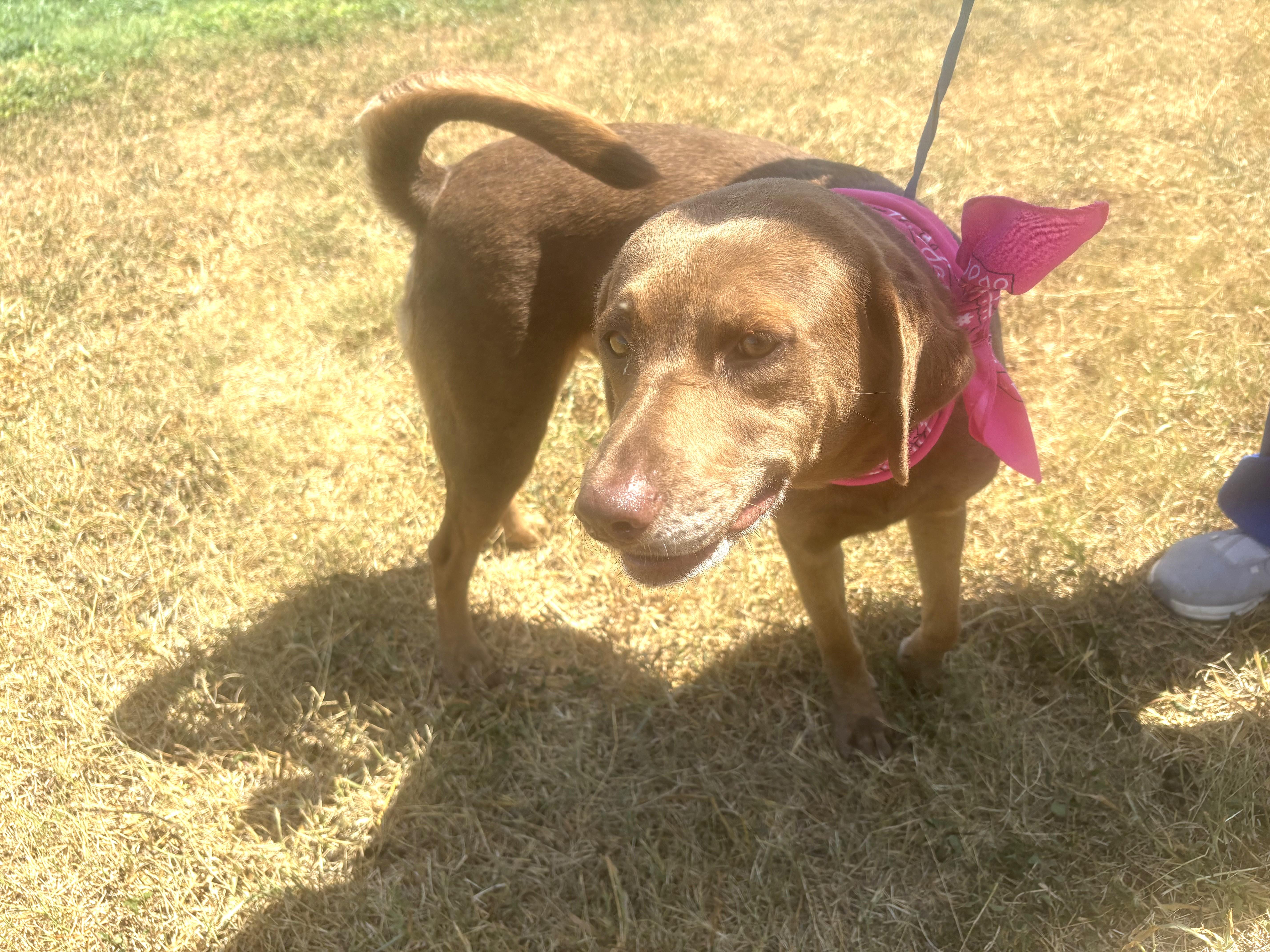 Ellie photo 5