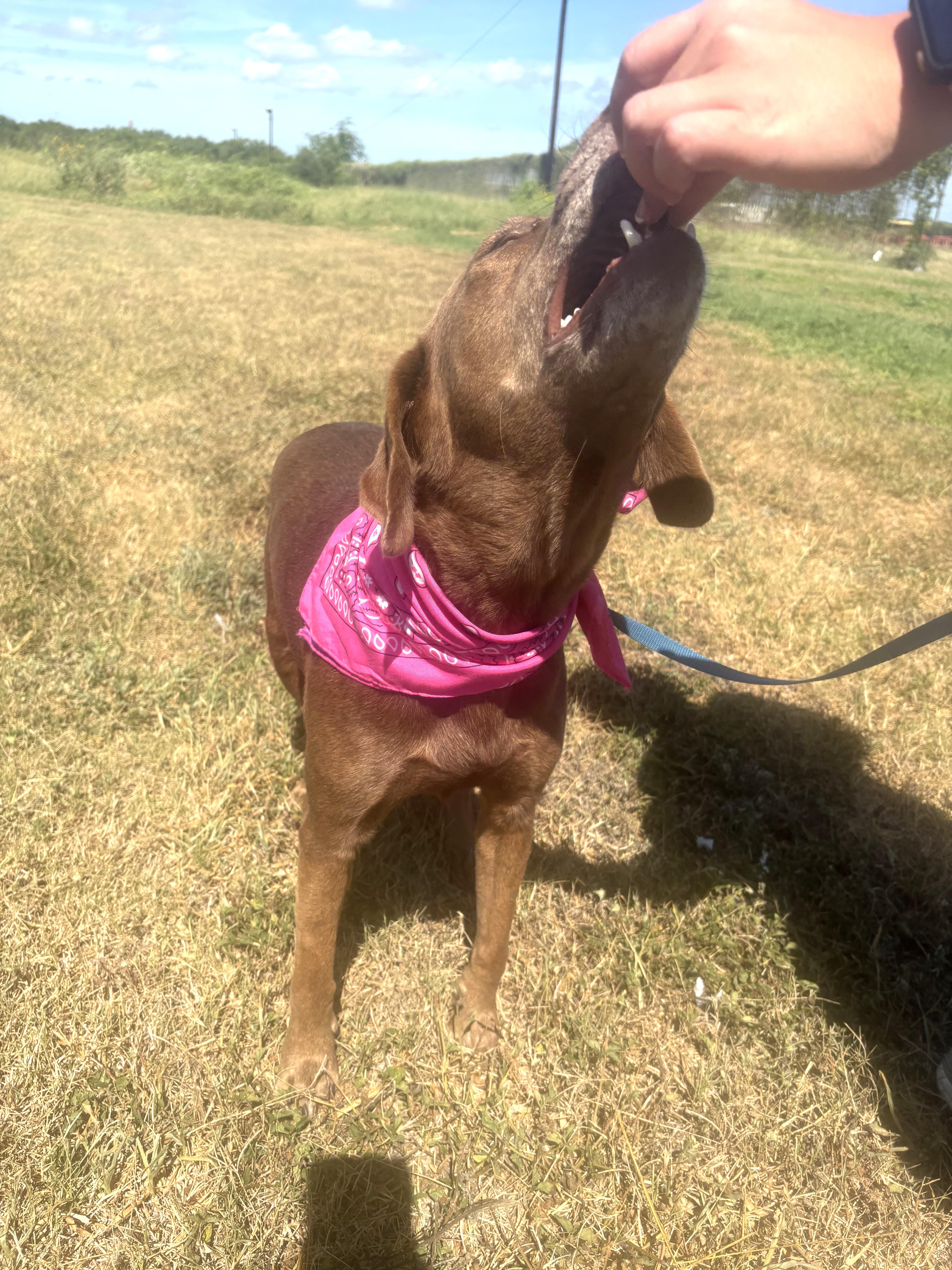 Ellie photo 6