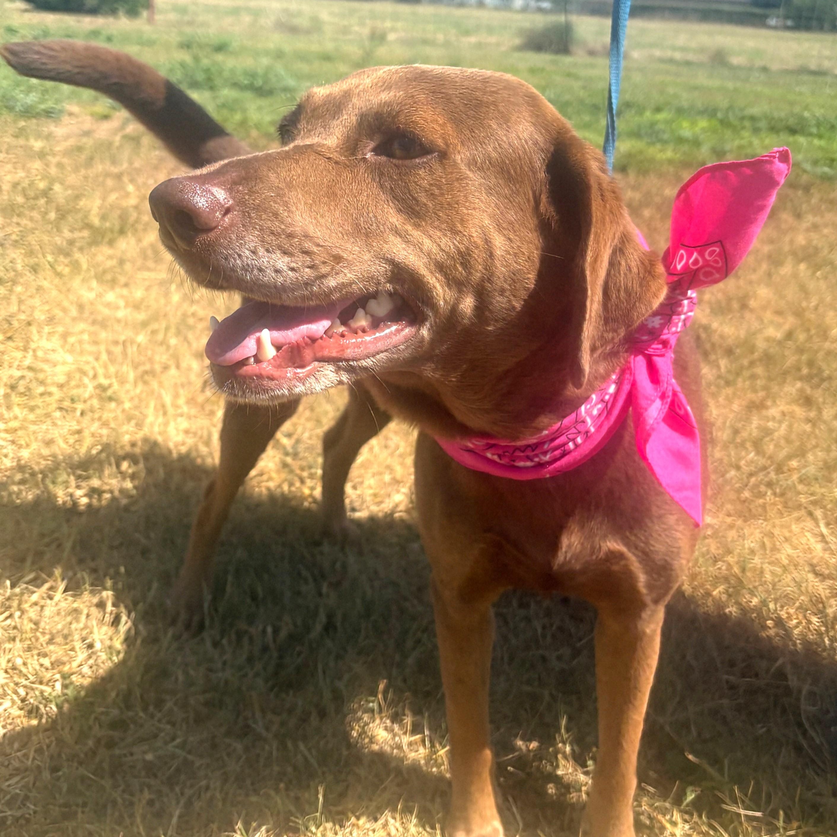 Ellie photo 4