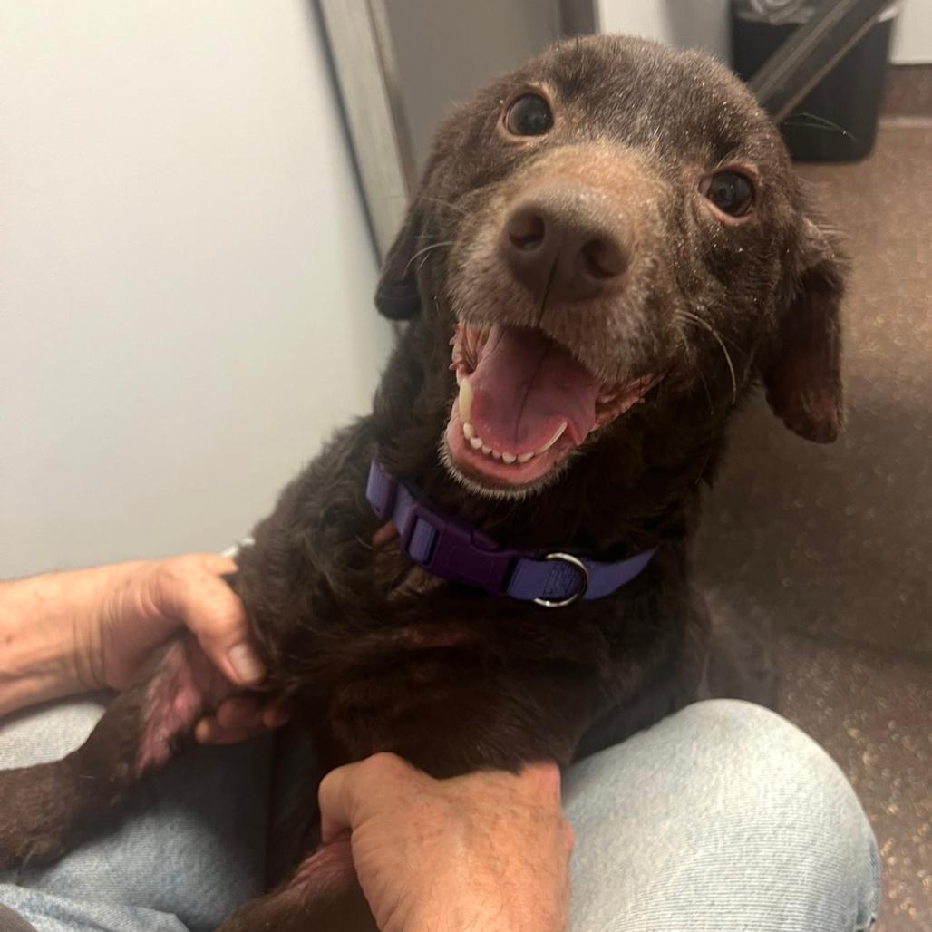 Atti — thumbnail 2