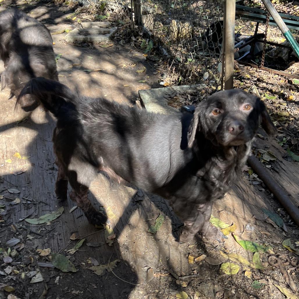 Atti — thumbnail 3