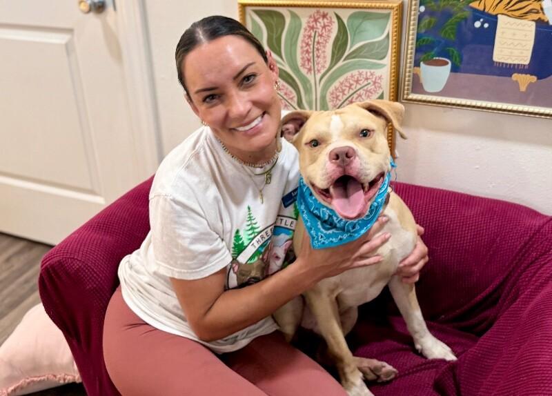 Enlarge Charlie the Sunshine Sidekick, a Adoptable mixed breed in Louisville, KY image 5/6