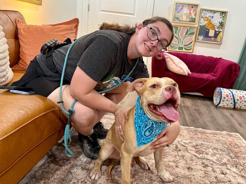 Enlarge Charlie the Sunshine Sidekick, a Adoptable mixed breed in Louisville, KY image 4/6
