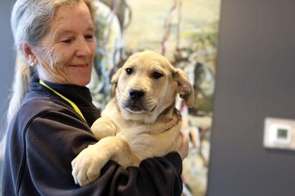 Sapphire — thumbnail 2