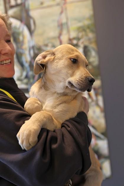 Sapphire — thumbnail 3