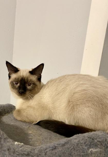 Madeline — thumbnail 2