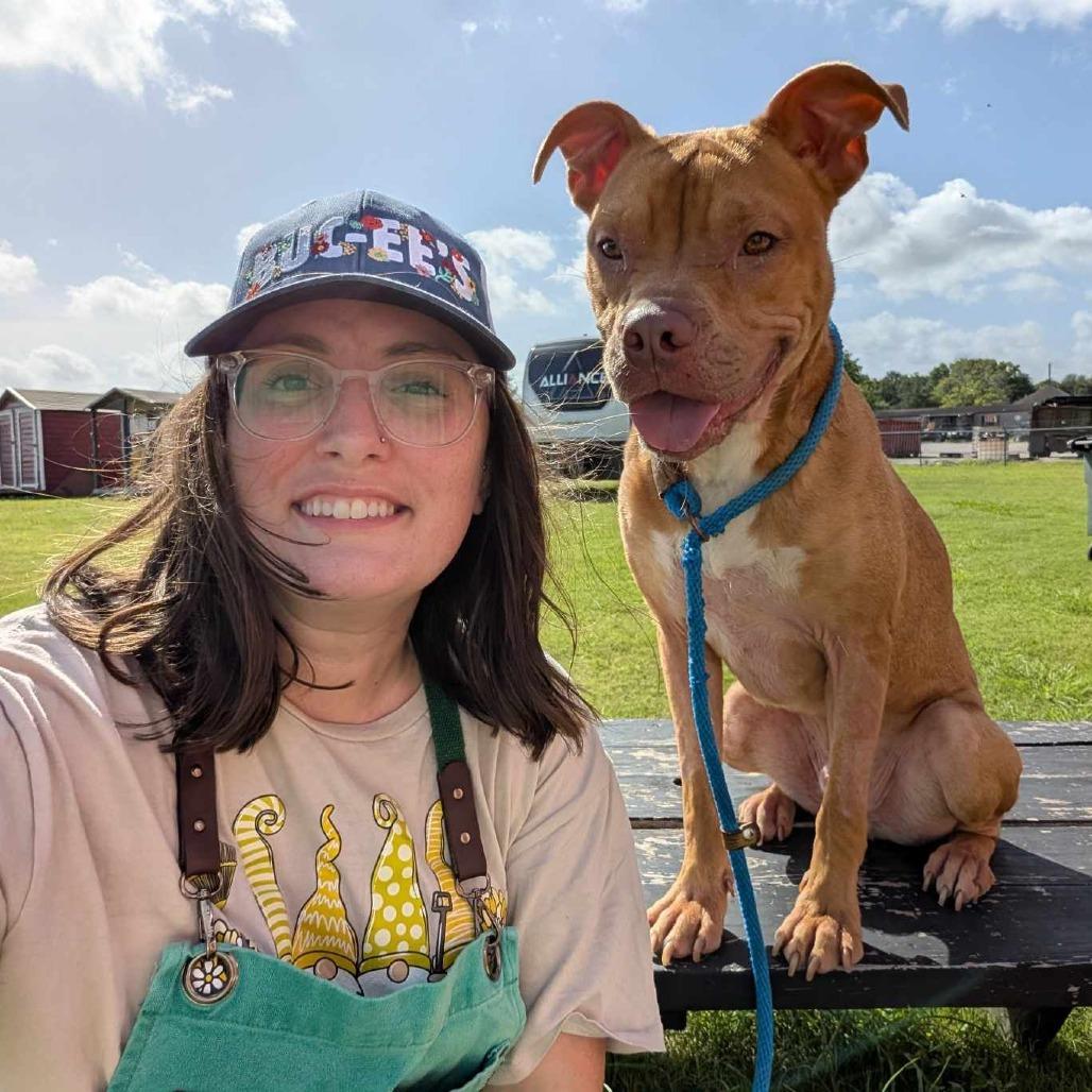 Enlarge Lou, a Adoptable mixed breed in Dickinson, TX image 4/6