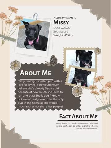 Enlarge Missy (Adoption Fee Sponsored!), an adoptable Mixed Breed in Neillsville, WI image 1/6