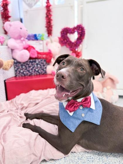 Mackaboon — thumbnail 2