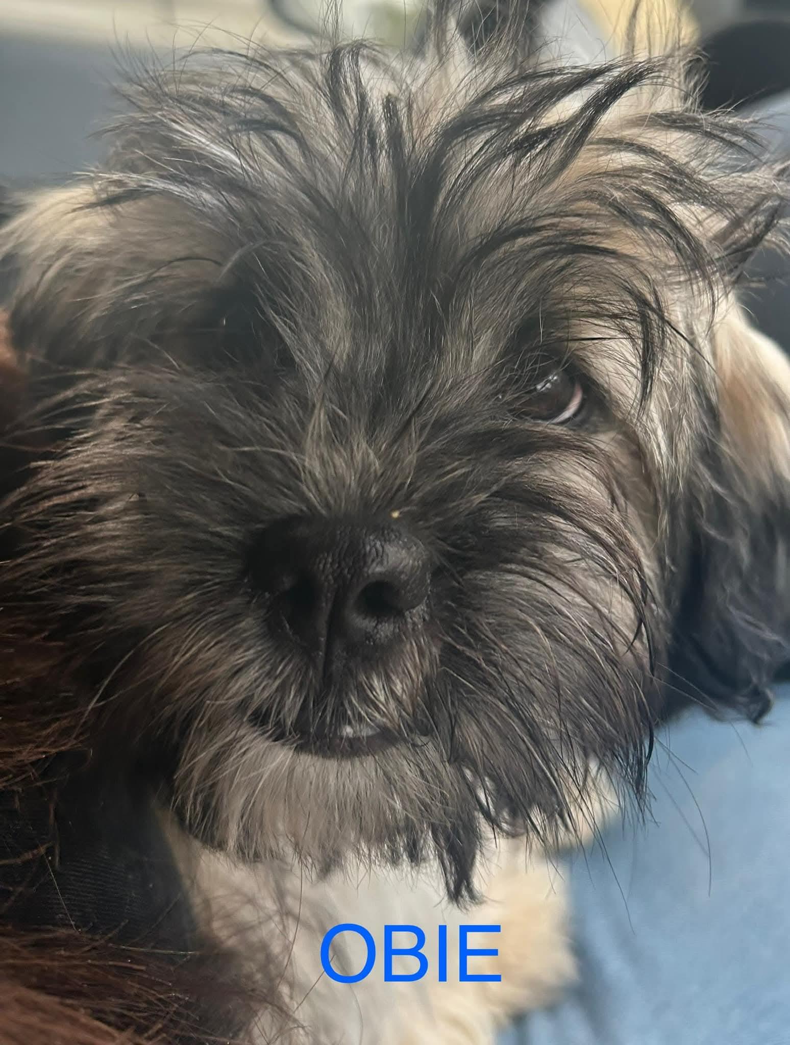 Obie