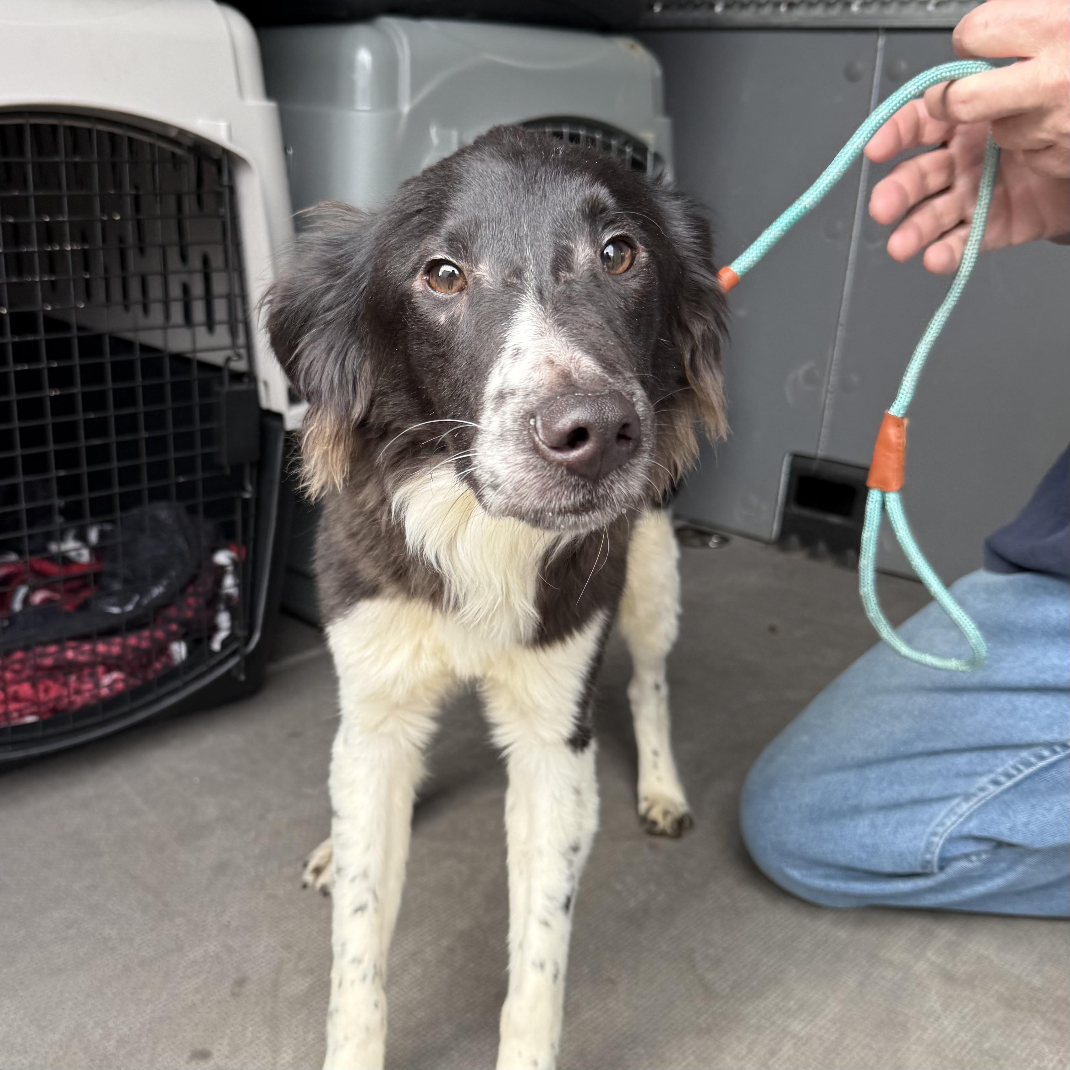 Fage — thumbnail 3