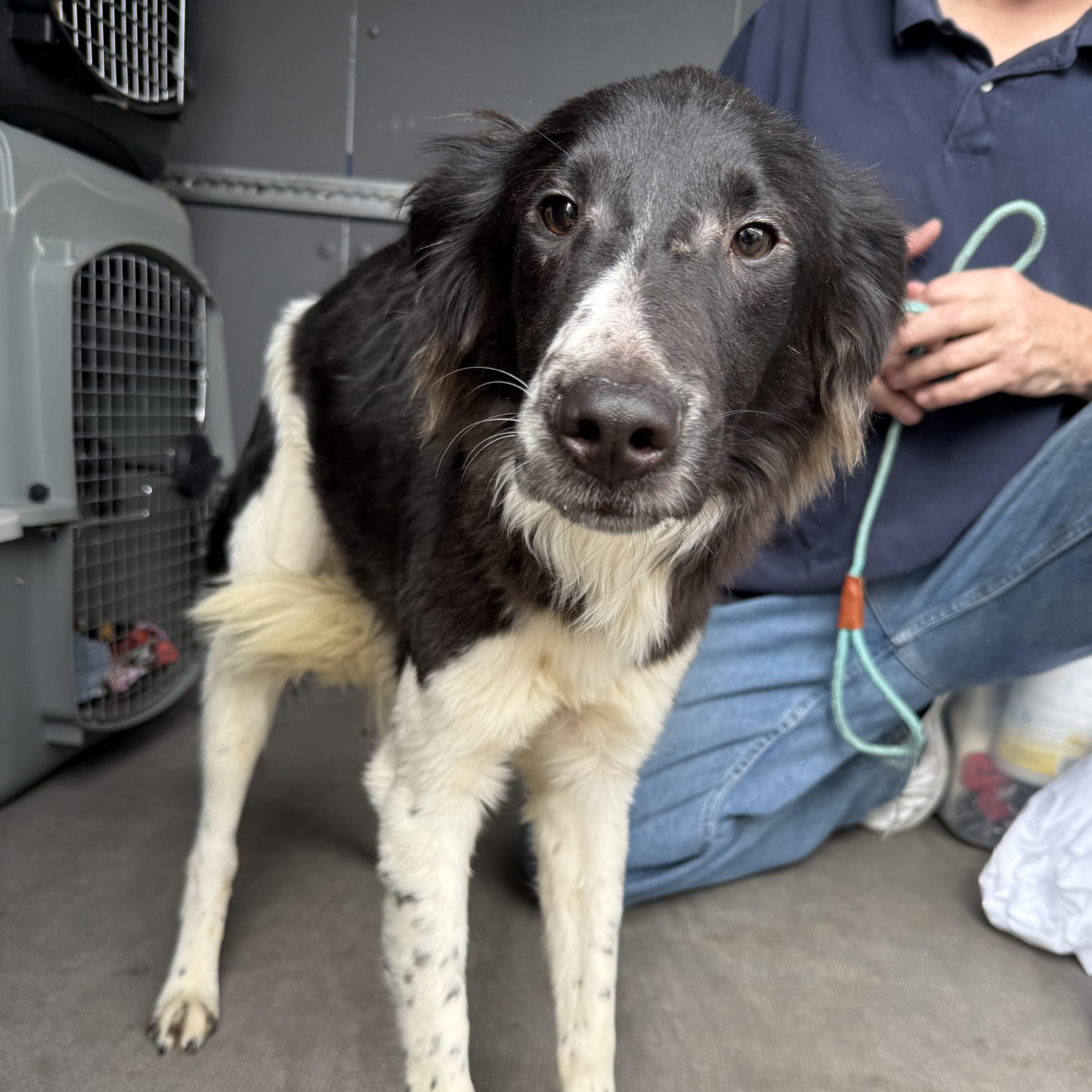 Fage — thumbnail 4