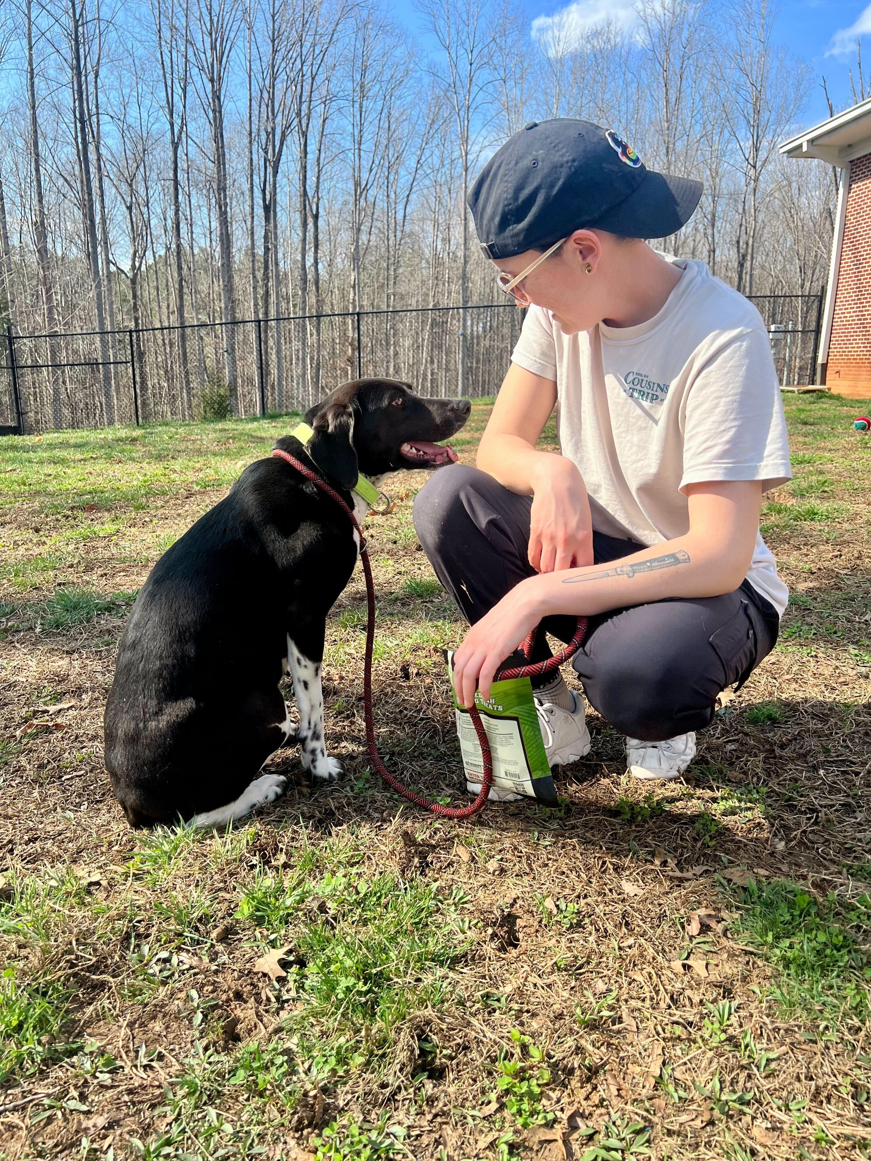 Enlarge Medora , an adopted mixed breed in Maidens, VA image 3/6