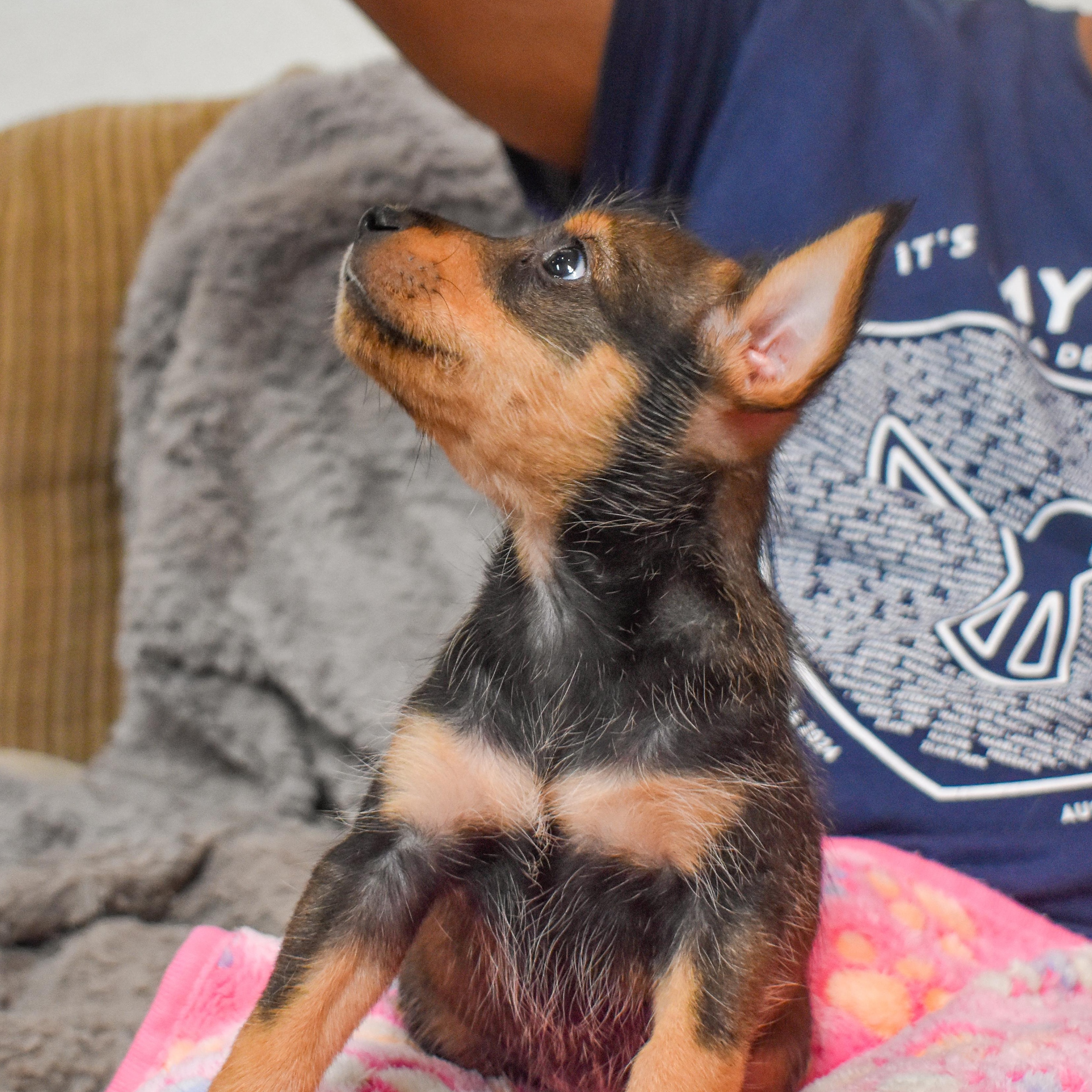 Bullseye — thumbnail 5