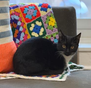 Francis & Ferdinand thumbnail 4