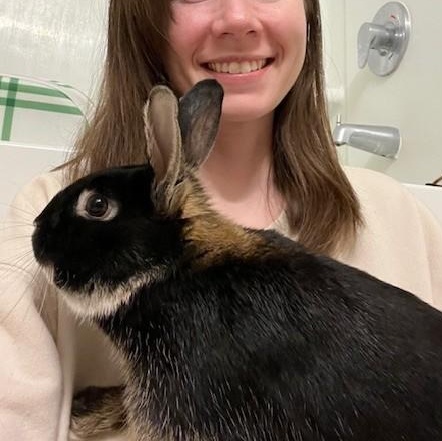 Enlarge Grizzly, a ADOPTABLE American in Salt Lake City, UT image 3/4