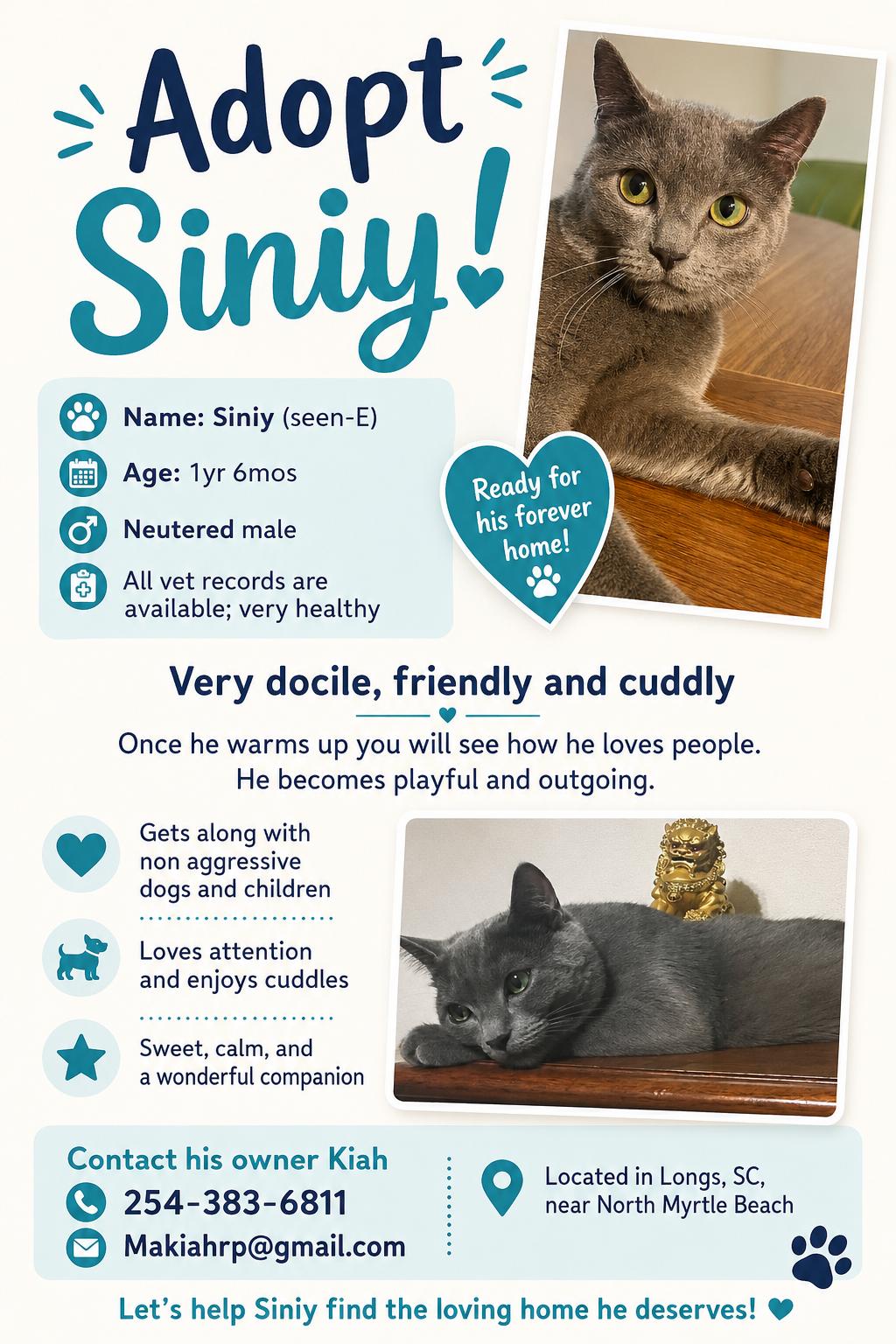 Enlarge Siniy (courtesy listing for Kiah), a ADOPTABLE mixed breed in Myrtle Beach, SC image 6/6